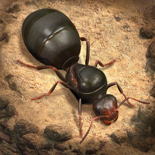 20000 Ant Coins